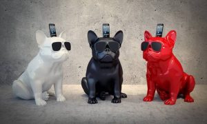 AeroBull – Bluetooth-колонки для iPhone